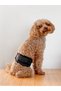 Dog Panties, Male Dog Pee Diapers, Black Dog Panties - 7