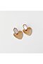 Edness Steel Earring |   Steel Earrings