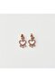 Selen Steel Earring |   Steel Earrings - 2