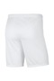 Bv6855-104 M Nk Df Park III Short Nb K Men's Sports Shorts - 2