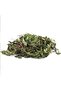 Lokman Aktar Dried Herb - 100 G - 4