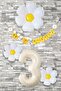 Daisy Theme Birthday Balloon Ornament Set Age Balloon with Banner Balloon Chain Package