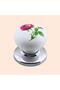 8 Pieces Pink Rose Patterned White Polymer Button Handle with Chrome Top Furniture Kitchen Cabinet Drawer Handle K - 5