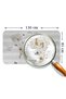 Educational World Map World Atlas Children's and Baby's Room Wall Sticker-85x130-3812 - 4