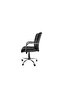 Nova 2203 Executive Chair: Thick Padding, Adjustable Height, Tilt Control, Padded Arms - 5