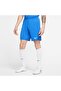 Park Iii Dri Fit Men's Blue Shorts
