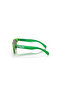 Oj 9009 900905 48 Frogskins XXS Youth Fit Sunglasses - 2