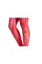 Asmc Tpa L Pr Women's Leggings It3323 - 7