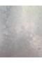 Glass Sandblasting Patterned Self Adhesive Coating 67 CM X 1 MT KML101 - 2