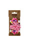 Baby Girl Buckle Set