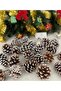 New Year's Natural Snowy Cone Tree Ornament 6 Pieces - 5