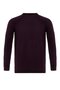 Plum Crew Neck Slim Fit Knitwear Sweater - 6