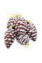 9cm 6 Pieces Plastic Glittered Hanging Cone Christmas Tree Ornament
