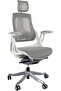 Robotto 609 Ergonomic Mesh Chair - High Back, Adjustable, Ultra Comfortable - White/Silver
