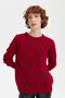 Women's Crew Neck Seamless Wool Sweater V.Çürüğü - 8
