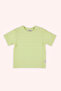 Baby Boy Short Sleeve Green T-Shirt