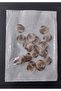 Milky Brown Tones Marble Patterned 2 cm Diameter Bone Button 20 Pieces. - 3