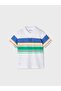 Boy Polo Neck T-Shirt 3104 - 3