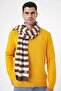 Men's Striped and Soft Textured Knitwear Scarf Brown-Beige 25W4002 - 2