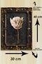Black Antique Foil Frame Look White Floral Mdf Painting Set - 3