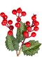 Christmas Flower Pike Berry Red-Green 30 Cm. - 2