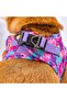 Rosea Camouflage Air-mesh Dog Collar - 3