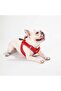 Red Air-mesh Chest Collar Cat Dog Chest Collar - 2