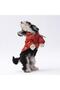 Orange Pluvia Cat Dog Coat Cat Dog Outfit