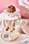 Serenity 5 Piece Cake/Cake/Dessert Presentation Set and Serving Stand Set - 2