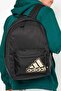 Backpack and School Bag 27,5 Lt. 15 cm X 36 cm X 44 cm Unisex Backpack Rshy0732-1Siyah