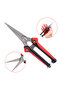 Pruning Shear Branch Scissors Stainless Steel Non-Slip Handle Sharp Garden Fruit Tree Pruning Ver... - 6
