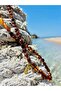 Nazar Repellent Drop Amber Necklace Special Design Adult Amber Necklace - 3