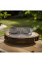 Beren Meadow Daisy Set of 2 Cups with Plates - 5