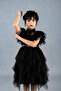 Wednesday Costume Dress - 4