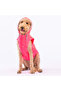 Neon Fuchsia Railway Anorak Dog Vest for Medium and Large Breeds Dog Apparel Dog Raincoat - 2