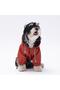 Orange Pluvia Cat Dog Coat Cat Dog Outfit - 4