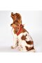 Tile Air-mesh Chest Collar Cat Dog Chest Collar - 2