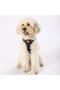 Black Air-mesh Chest Collar Cat Dog Chest Collar