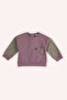 Baby Girl Print Detailed Dusty Rose Sweatshirt