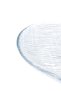 Hector Oval Serving Plate - Small Size - Transparent - 5