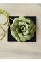 Necklace/choker Necklace/laced Satin Rose Necklace (GREEN) - 3