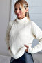 Turtleneck Low Long Sleeve Regular Fit Diamond Pattern Textured Style Lycra Knitwear Sweater