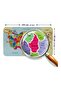 Turkish World and Turkey Map Set Wall Stickers (100 cm x 65 cm) - 3