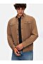 Plain Regular Fit Gray Shirt - 5