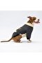 Black Alaska Large Breed Dog Sweat-Dog Apparel - 3