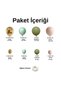 Balloon Set Chrome Gold-Winter Green-Eucalyptus-Skin Color 60-Piece Balloon Chain Set - 2