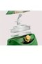 Vagonli̇fe Special Boxed Dinosaur Theme Tritan Bottle with Case Cs0007 630ml Green - 4