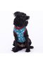Dino Cat Dog T-Shirt - Cat Dog Outfit