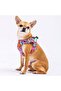 Balloons Air-mesh Chest Collar Cat Dog Chest Collar