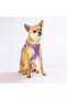 Lilac Air-mesh Chest Collar Cat Dog Chest Collar